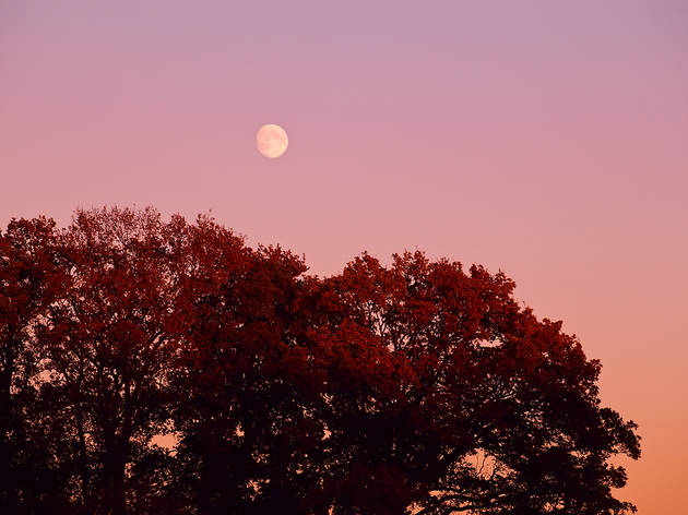 There’s a full ‘thunder moon’ eclipse on Sunday